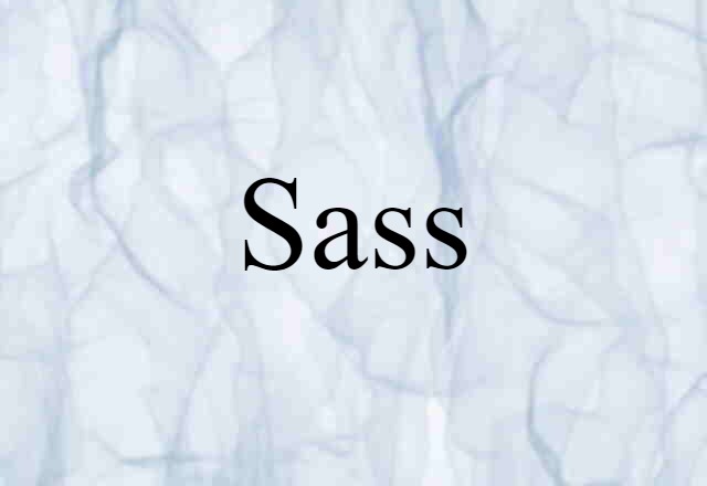 Sass (noun) Definition, Meaning & Examples