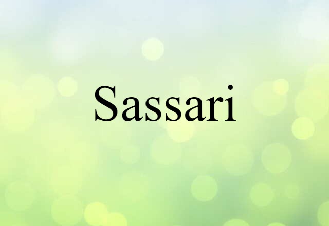 Sassari (noun) Definition, Meaning & Examples