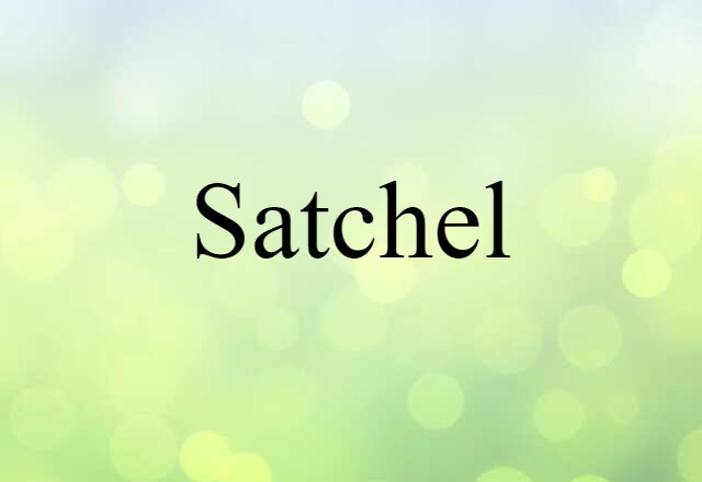 satchel