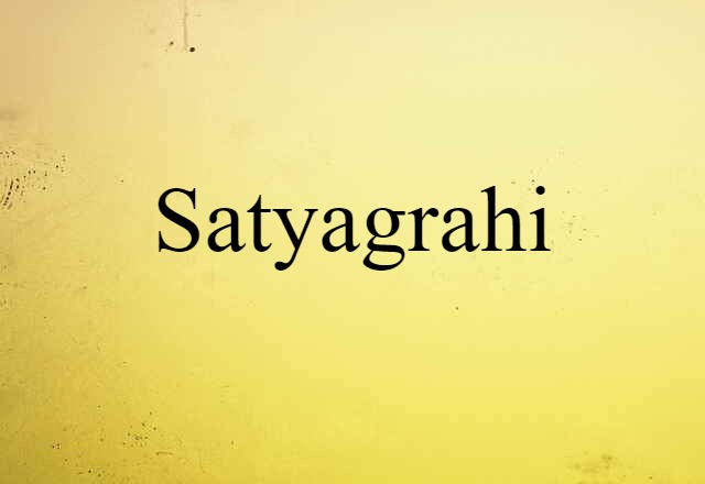 Satyagrahi (noun) Definition, Meaning & Examples