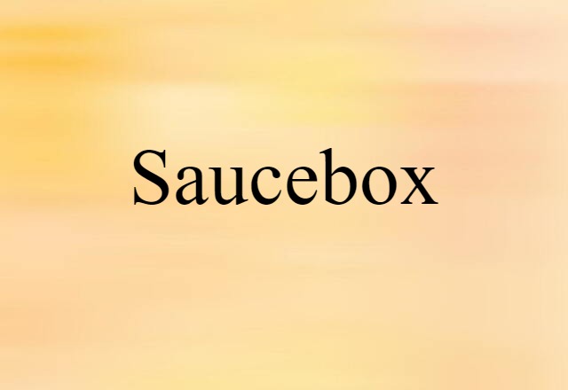 Saucebox (noun) Definition, Meaning & Examples