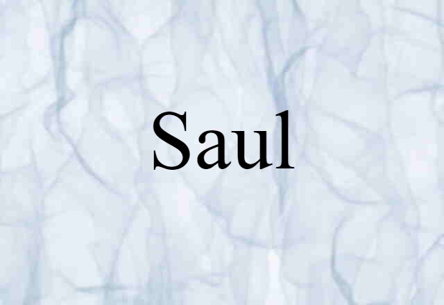 Saul (noun) Definition, Meaning & Examples