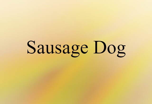 sausage dog