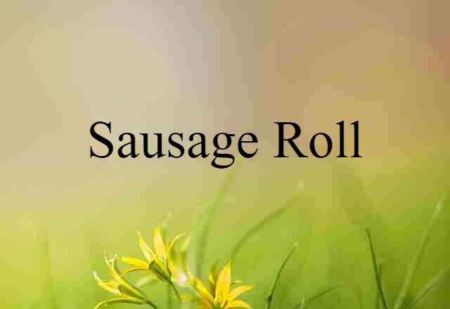 Sausage Roll (noun) Definition, Meaning & Examples