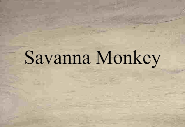 Savanna Monkey (noun) Definition, Meaning & Examples