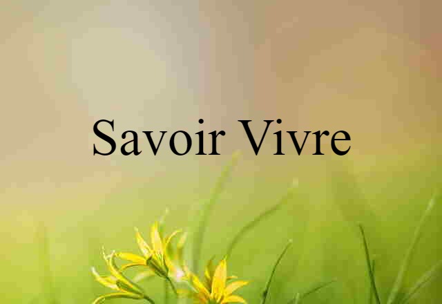 Savoir-vivre (noun) Definition, Meaning & Examples