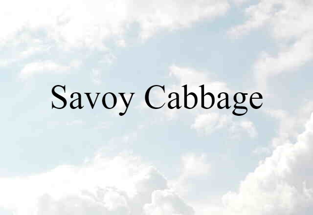 Savoy Cabbage (noun) Definition, Meaning & Examples