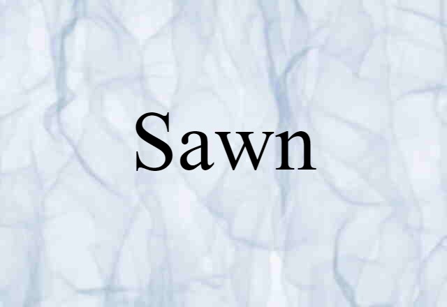 Sawn (noun) Definition, Meaning & Examples