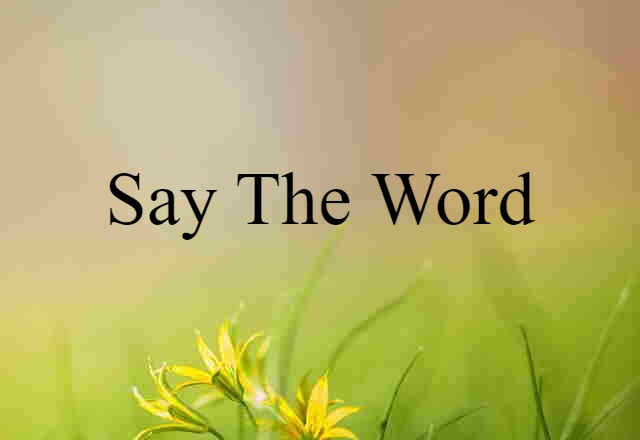 Say The Word (noun) Definition, Meaning & Examples