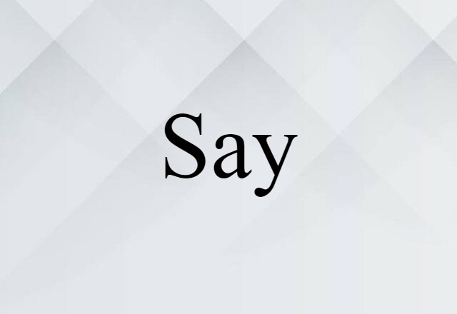 Say (noun) Definition, Meaning & Examples