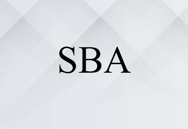 SBA (noun) Definition, Meaning & Examples