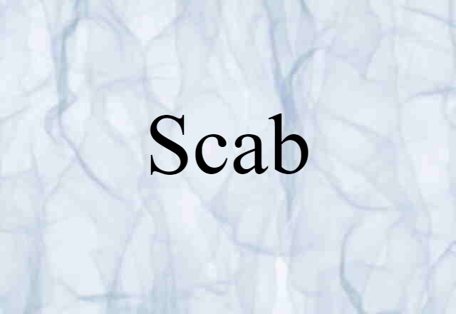 Scab (noun) Definition, Meaning & Examples