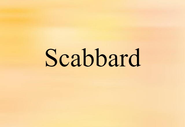 Scabbard (noun) Definition, Meaning & Examples