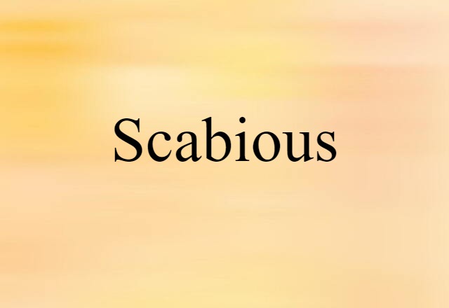 Scabious (noun) Definition, Meaning & Examples