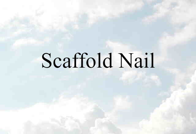 Scaffold Nail (noun) Definition, Meaning & Examples