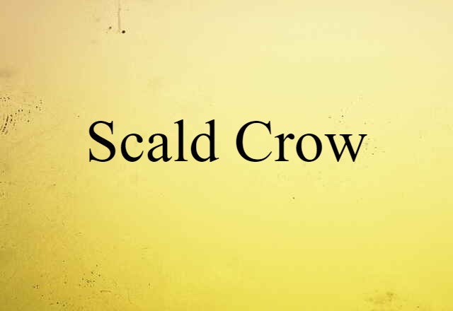 scald crow