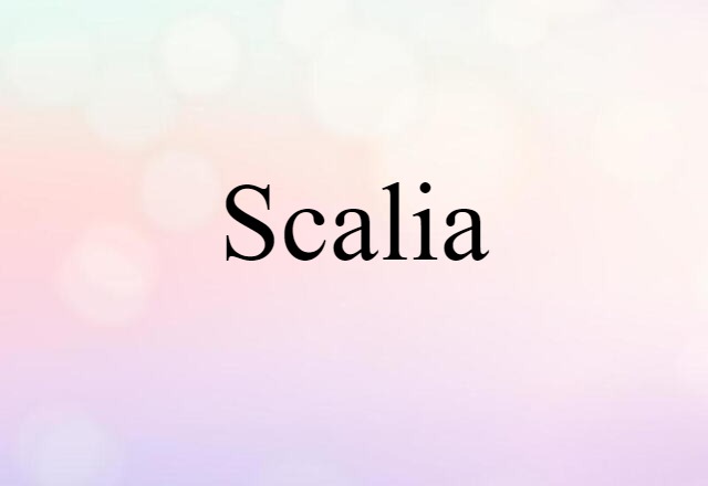 Scalia (noun) Definition, Meaning & Examples