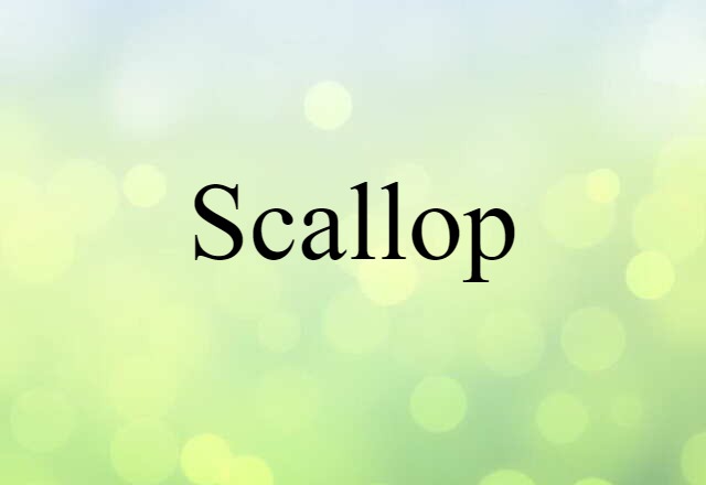 scallop