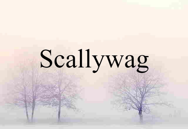 scallywag