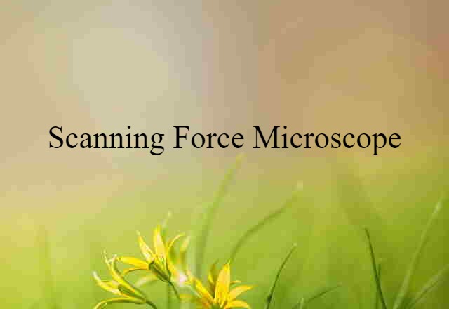 scanning force microscope