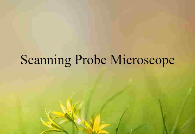 Scanning Probe Microscope (noun) Definition, Meaning & Examples