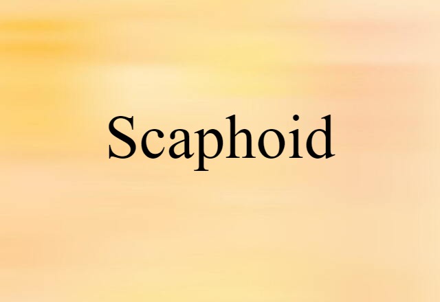 Scaphoid (noun) Definition, Meaning & Examples