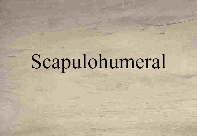 Scapulohumeral (noun) Definition, Meaning & Examples