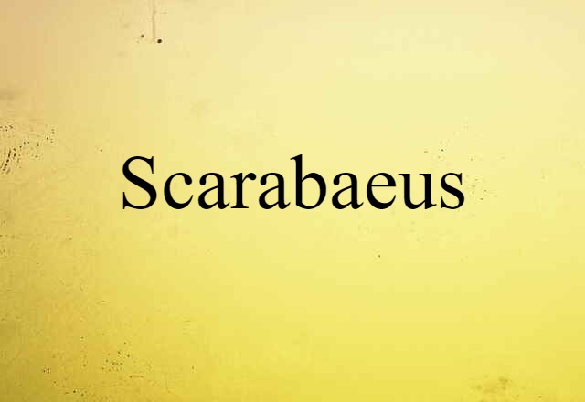 scarabaeus