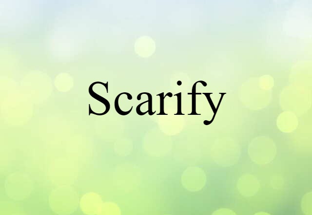 Scarify (noun) Definition, Meaning & Examples