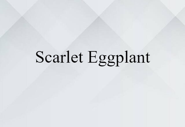 scarlet eggplant