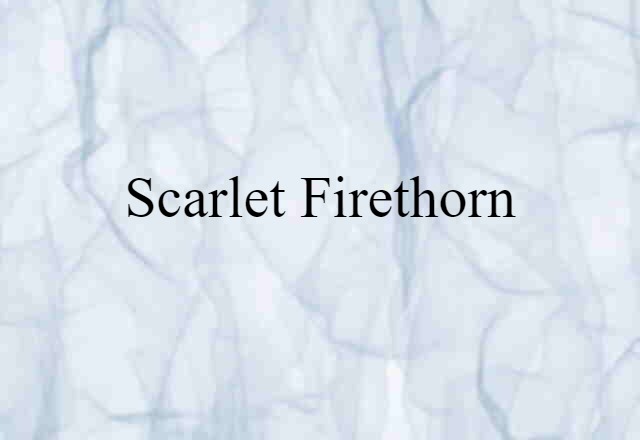 scarlet firethorn