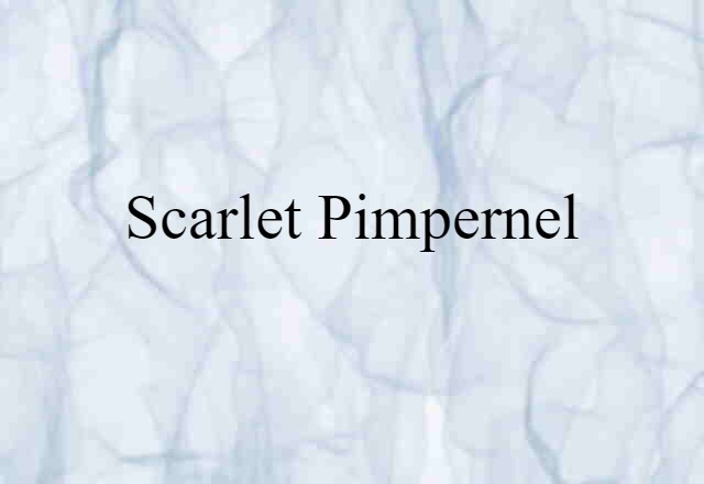 scarlet pimpernel