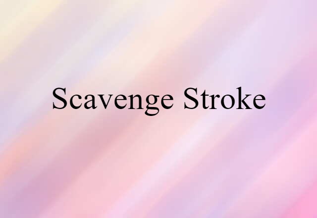 Scavenge Stroke (noun) Definition, Meaning & Examples