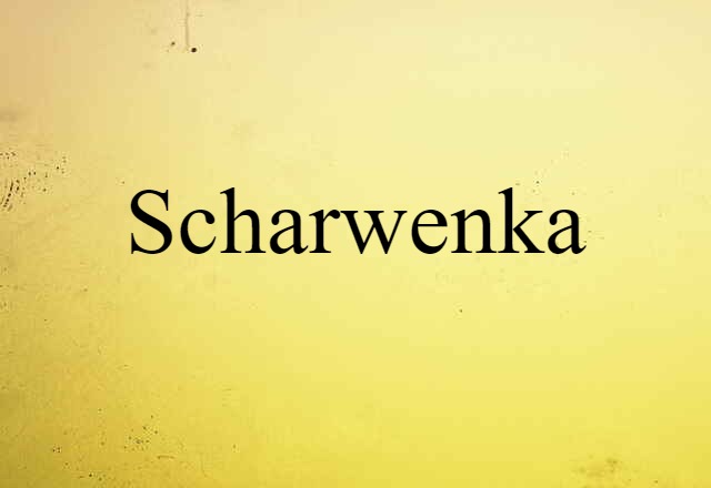 Scharwenka (noun) Definition, Meaning & Examples