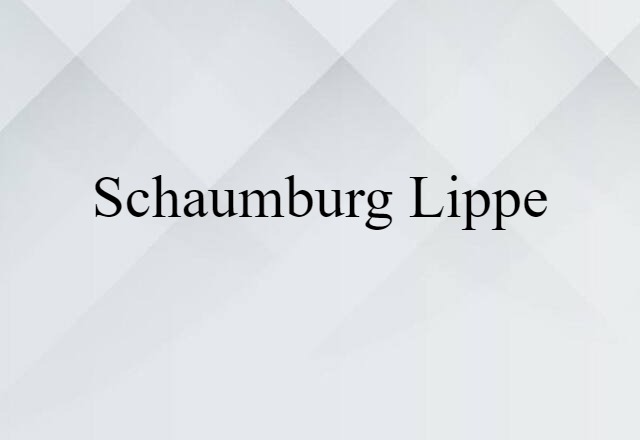 Schaumburg Lippe (noun) Definition, Meaning & Examples