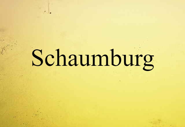 Schaumburg (noun) Definition, Meaning & Examples