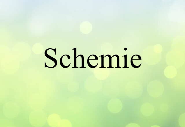 Schemie (noun) Definition, Meaning & Examples