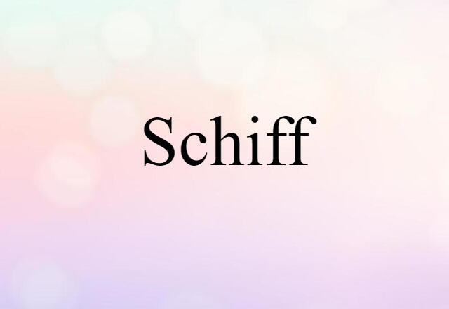 Schiff (noun) Definition, Meaning & Examples