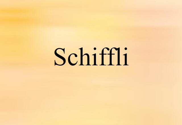 Schiffli (noun) Definition, Meaning & Examples