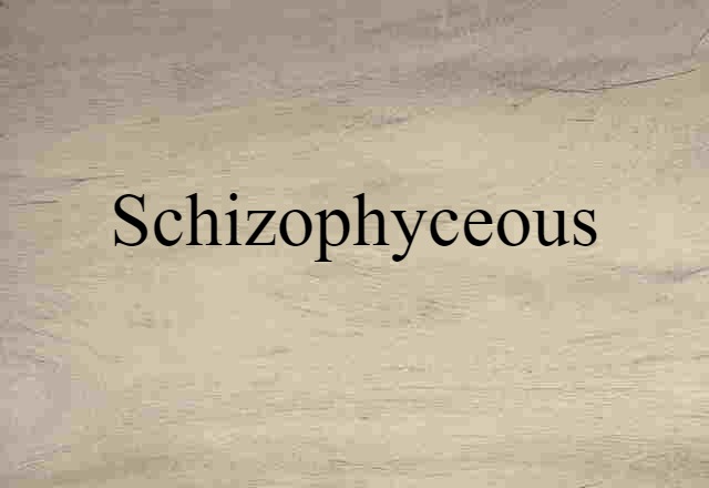 schizophyceous