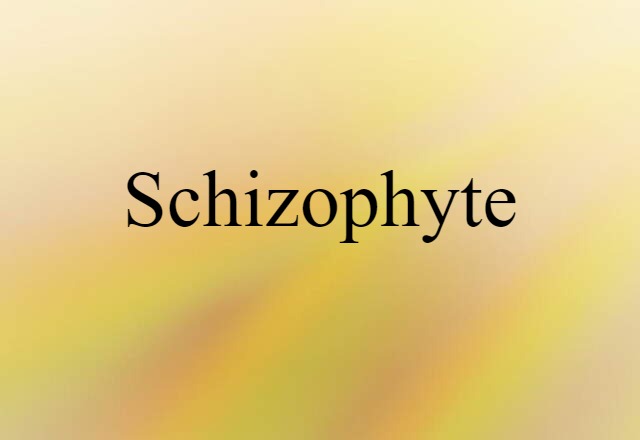 Schizophyte (noun) Definition, Meaning & Examples