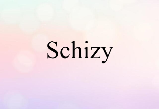 Schizy (noun) Definition, Meaning & Examples