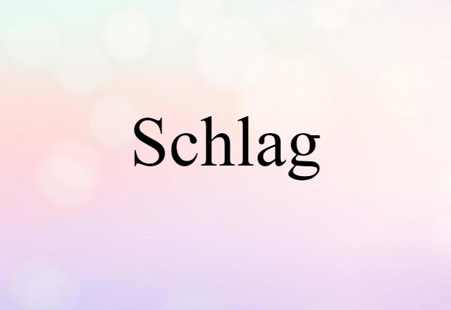 Schlag (noun) Definition, Meaning & Examples