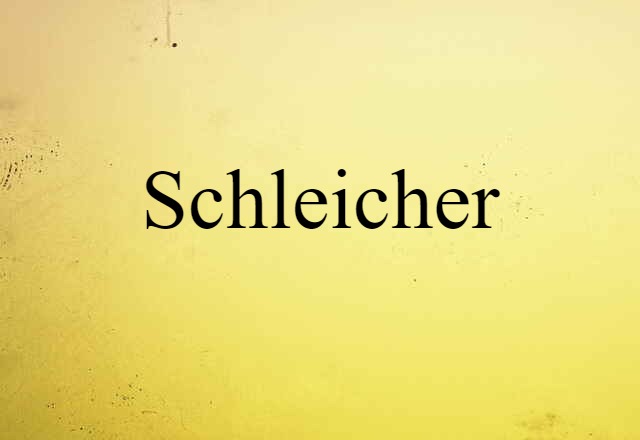 Schleicher