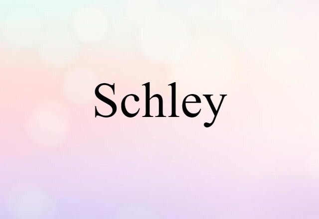 Schley (noun) Definition, Meaning & Examples