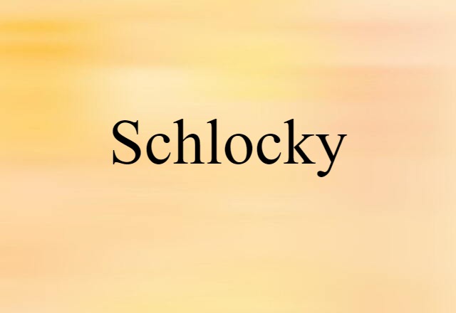 Schlocky (noun) Definition, Meaning & Examples