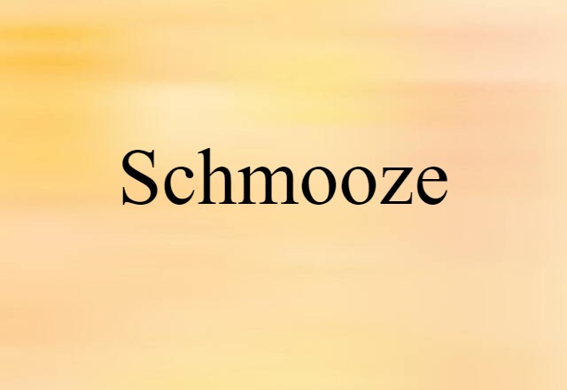 Schmooze (noun) Definition, Meaning & Examples