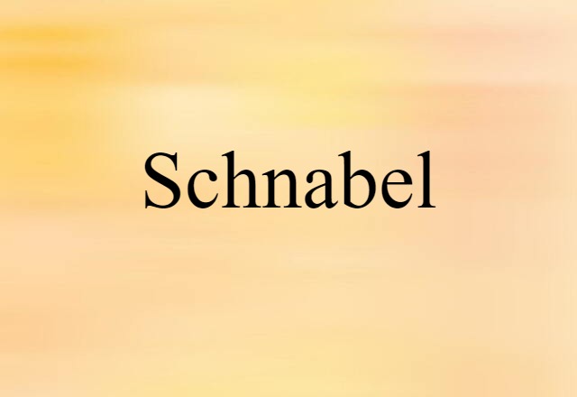 Schnabel (noun) Definition, Meaning & Examples