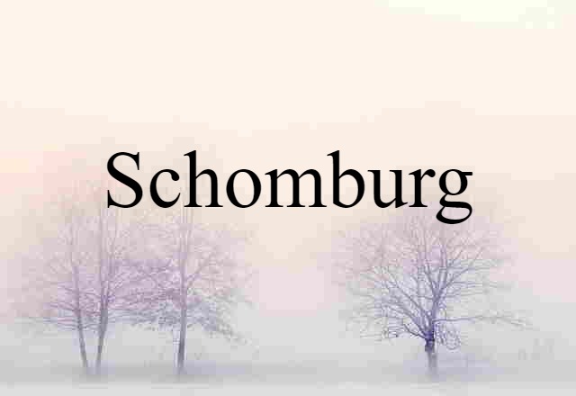 Schomburg (noun) Definition, Meaning & Examples