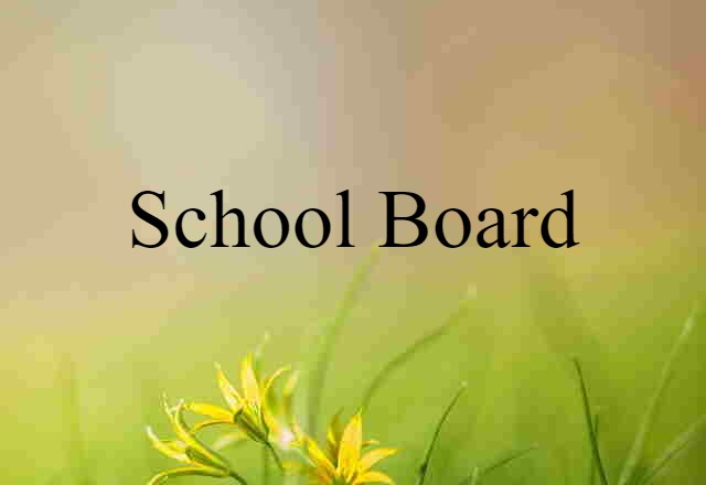 School Board (noun) Definition, Meaning & Examples